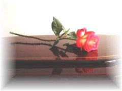 Glenelg Funerals
